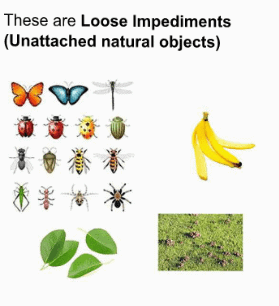 Loose-impediments