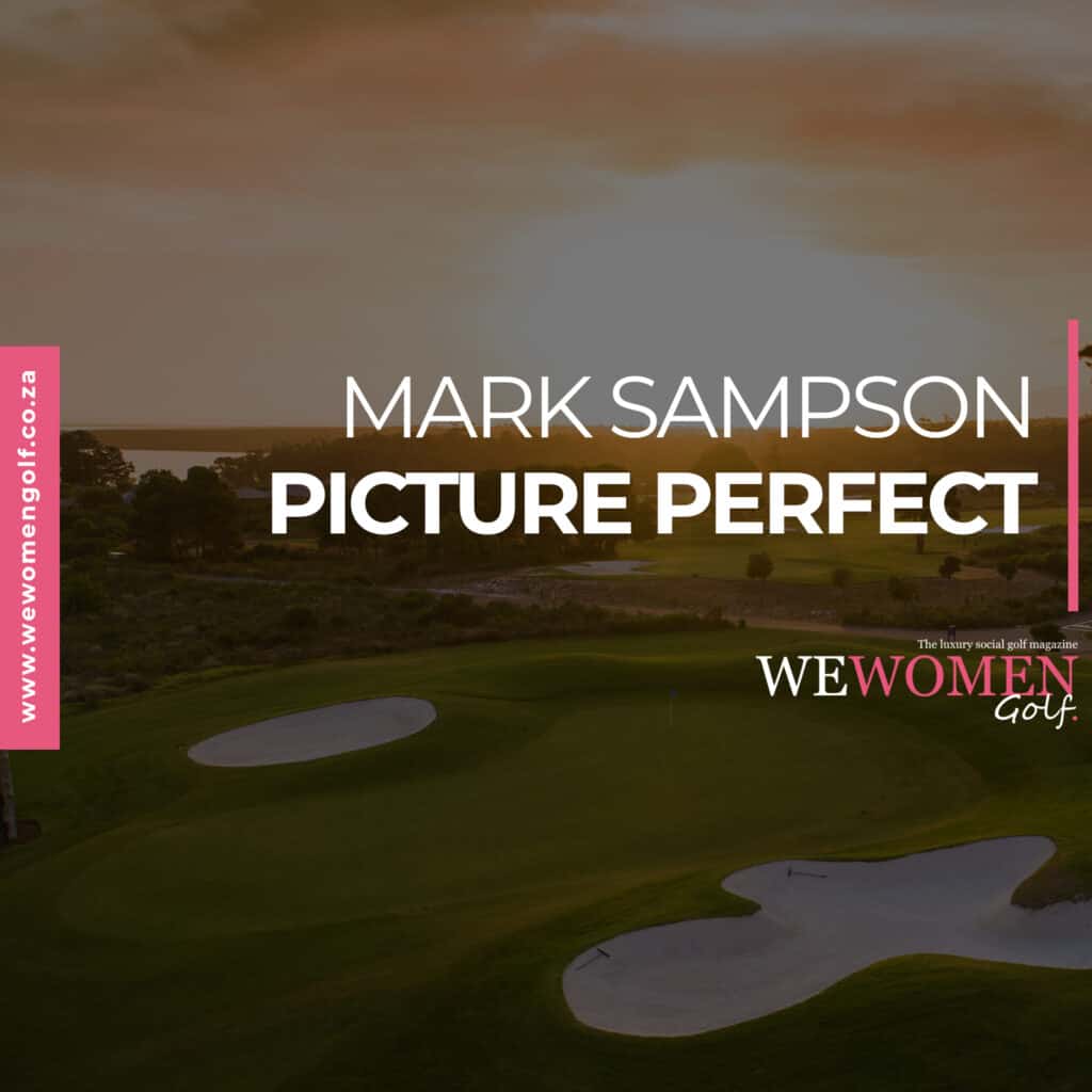 MARK SAMPSON – PICTURE PERFECT