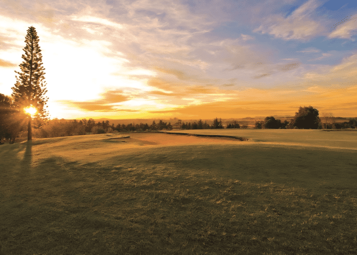 Devonvale Golf & Wine Estate